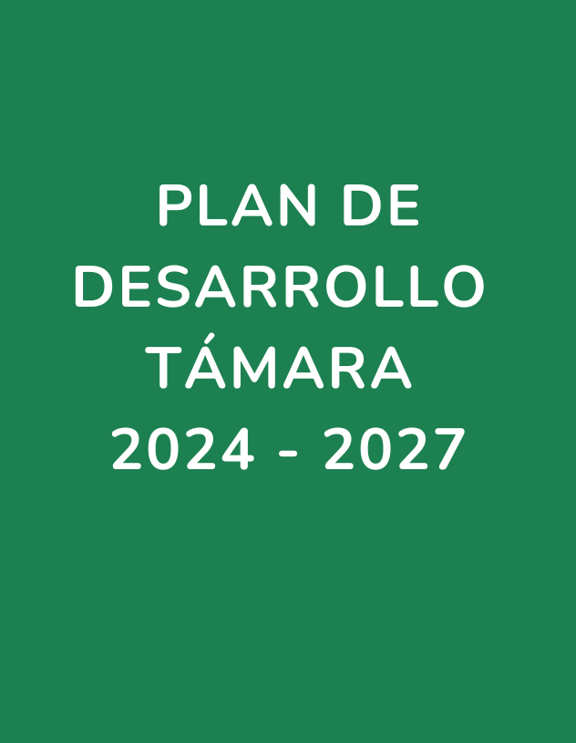 Plan Regional de Competitividad Casanare 2025-2050
